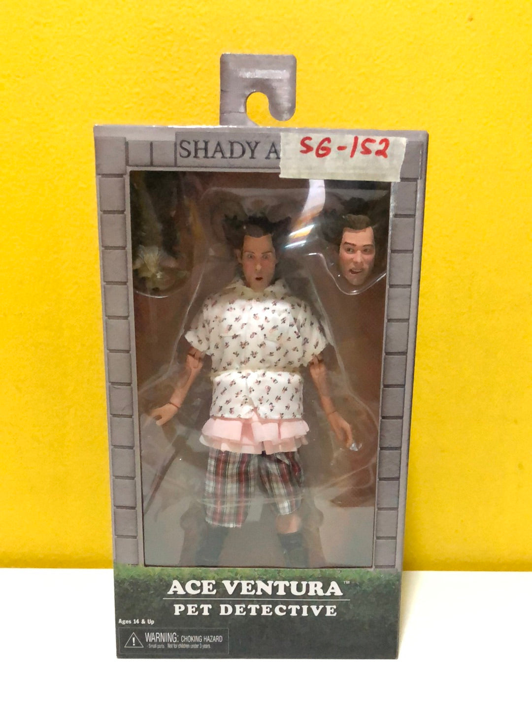 Ace Ventura