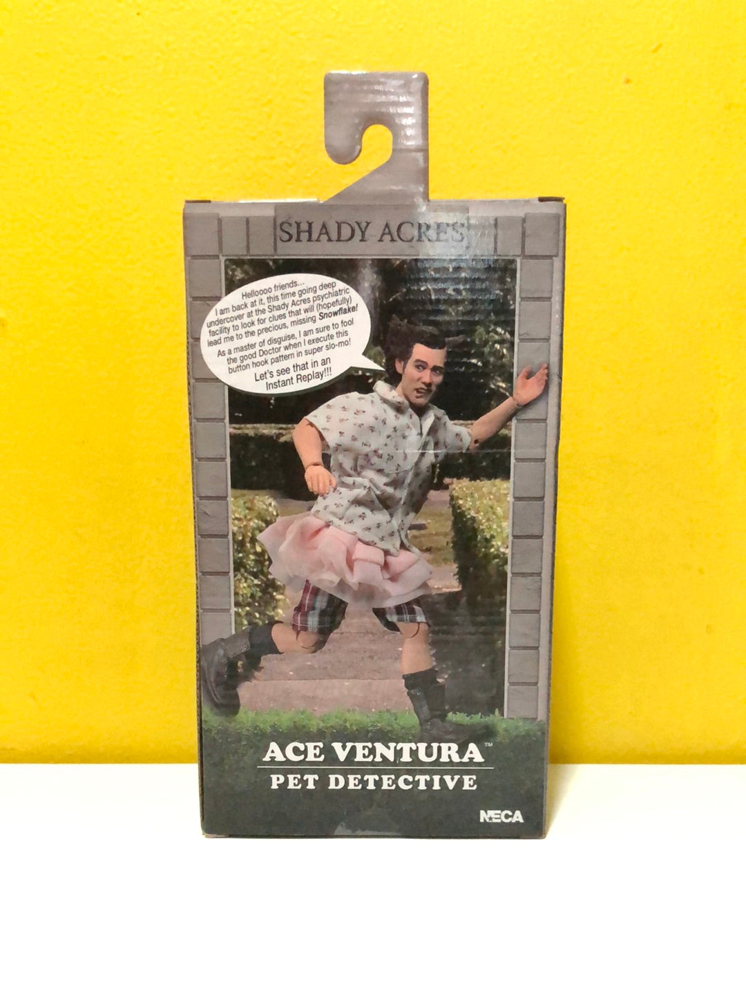 Ace Ventura